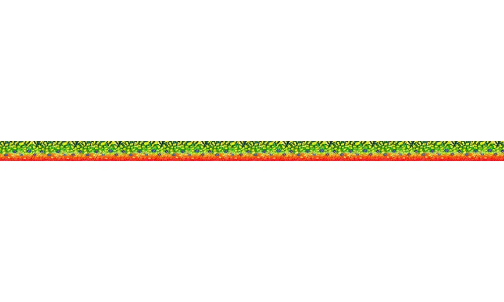 Brook Trout2 Dog Leash