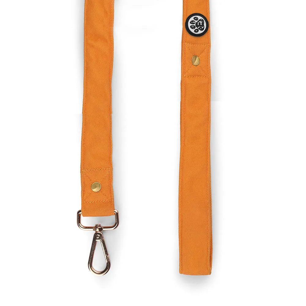 Dear Pet Classic Mustard Dog Leash