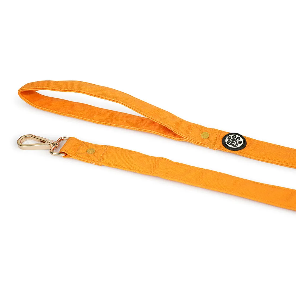 Dear Pet Classic Mustard Dog Leash