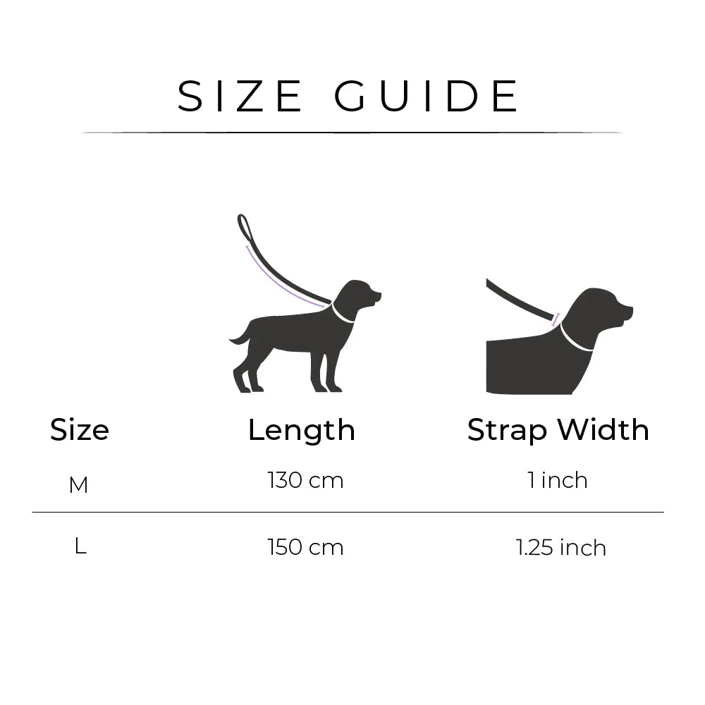Dear Pet Classic Mustard Dog Leash
