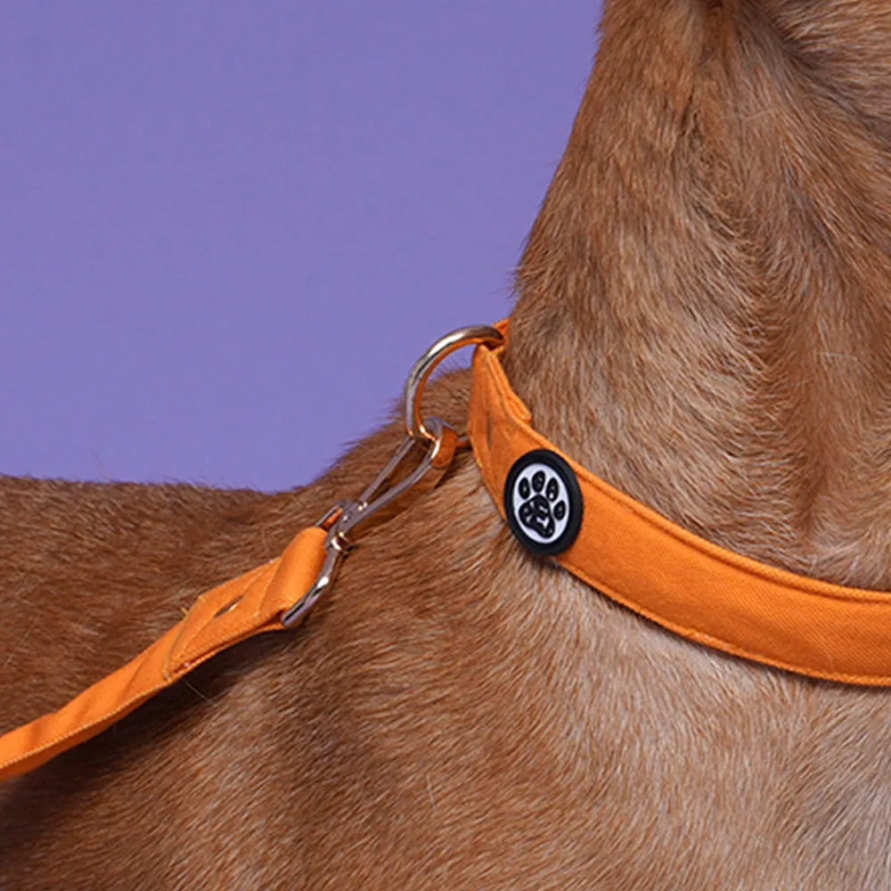 Dear Pet Classic Mustard Dog Leash
