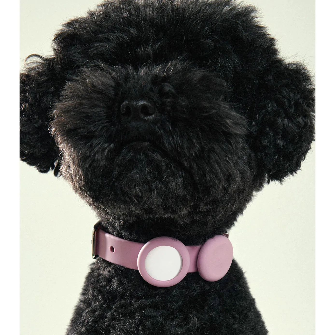 frank green Blushed Dog Safety Light Medium^^^