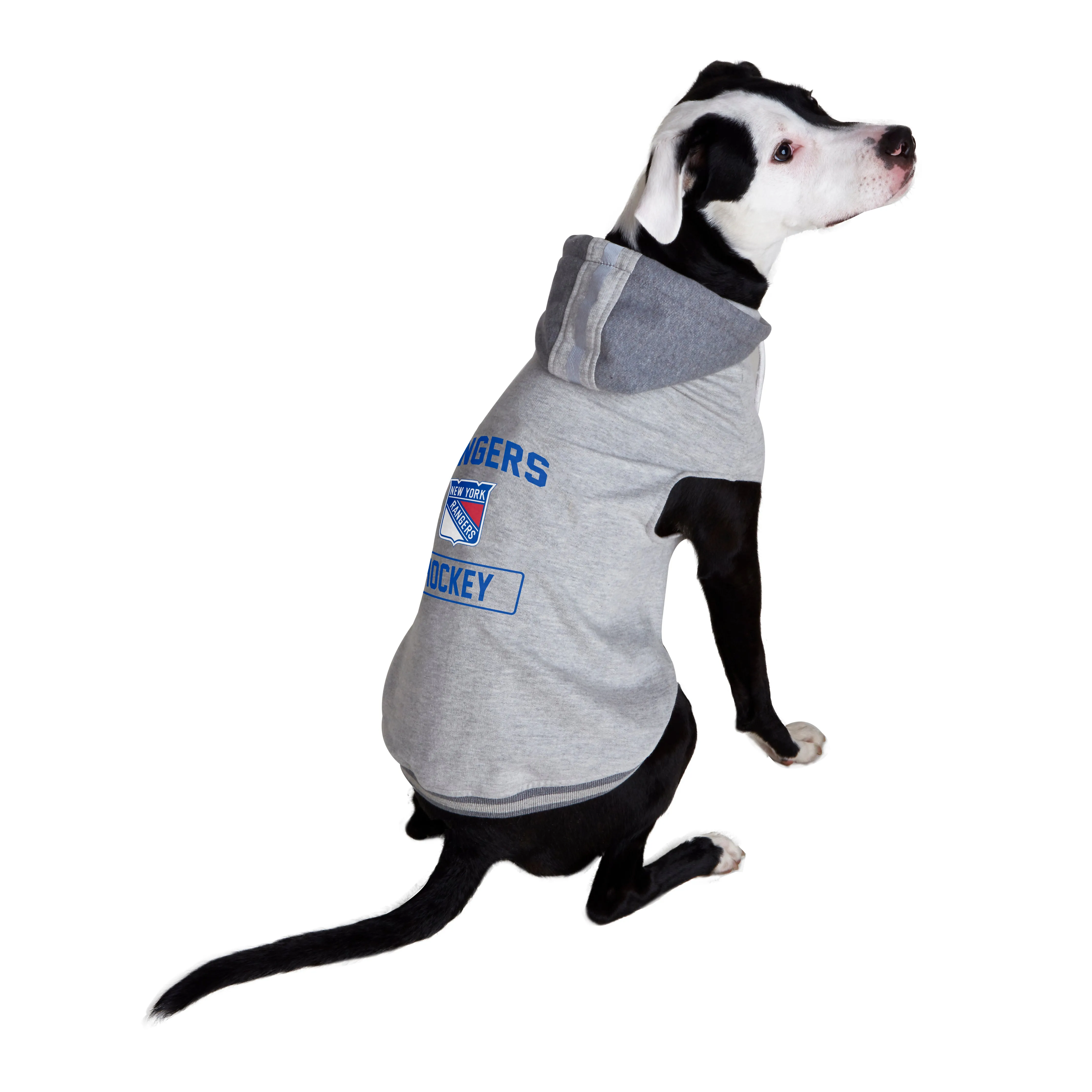 New York Rangers Pet Hooded Crewneck Type