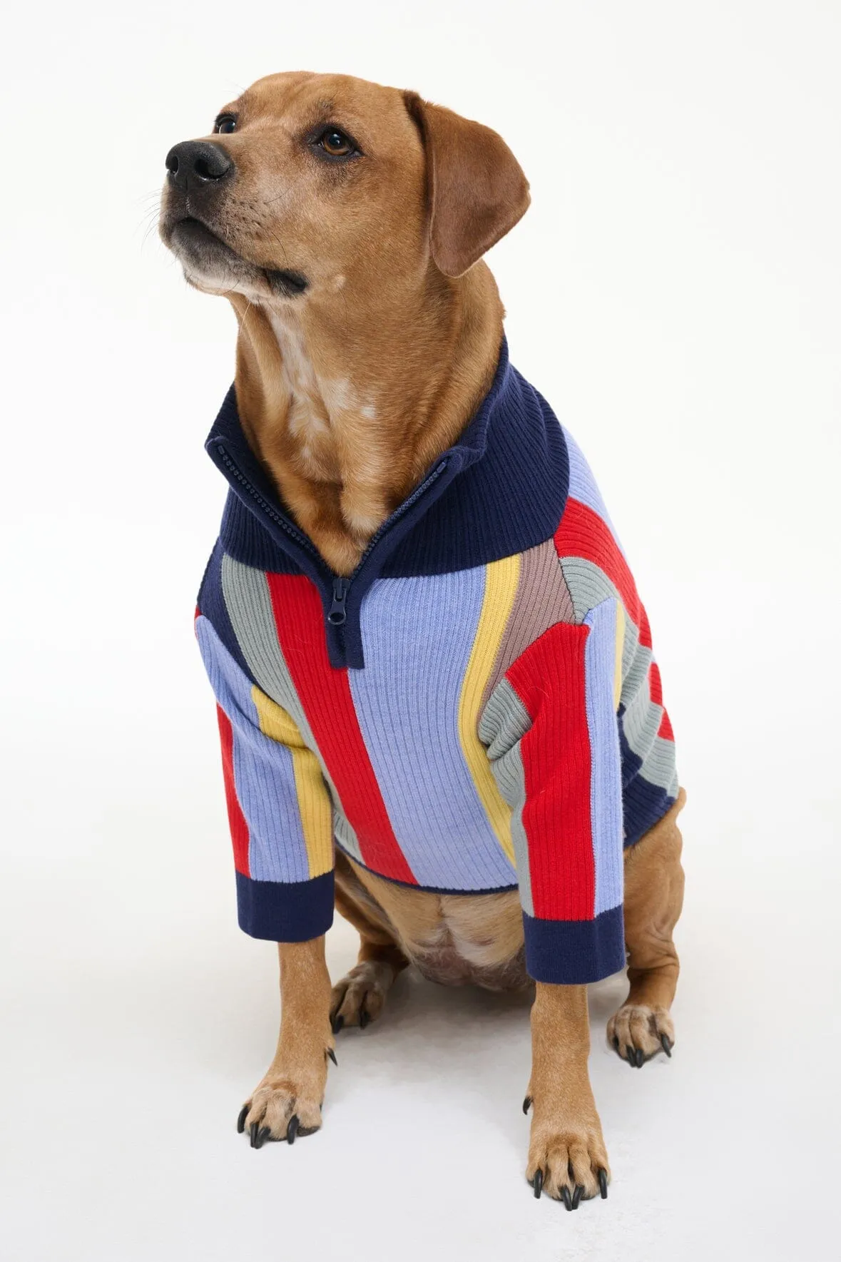 PET HAMPTON SWEATER | MARKET STRIPE