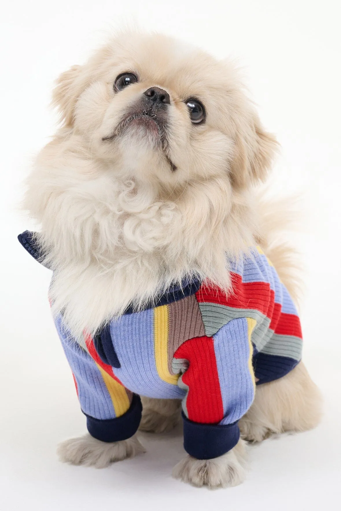 PET HAMPTON SWEATER | MARKET STRIPE