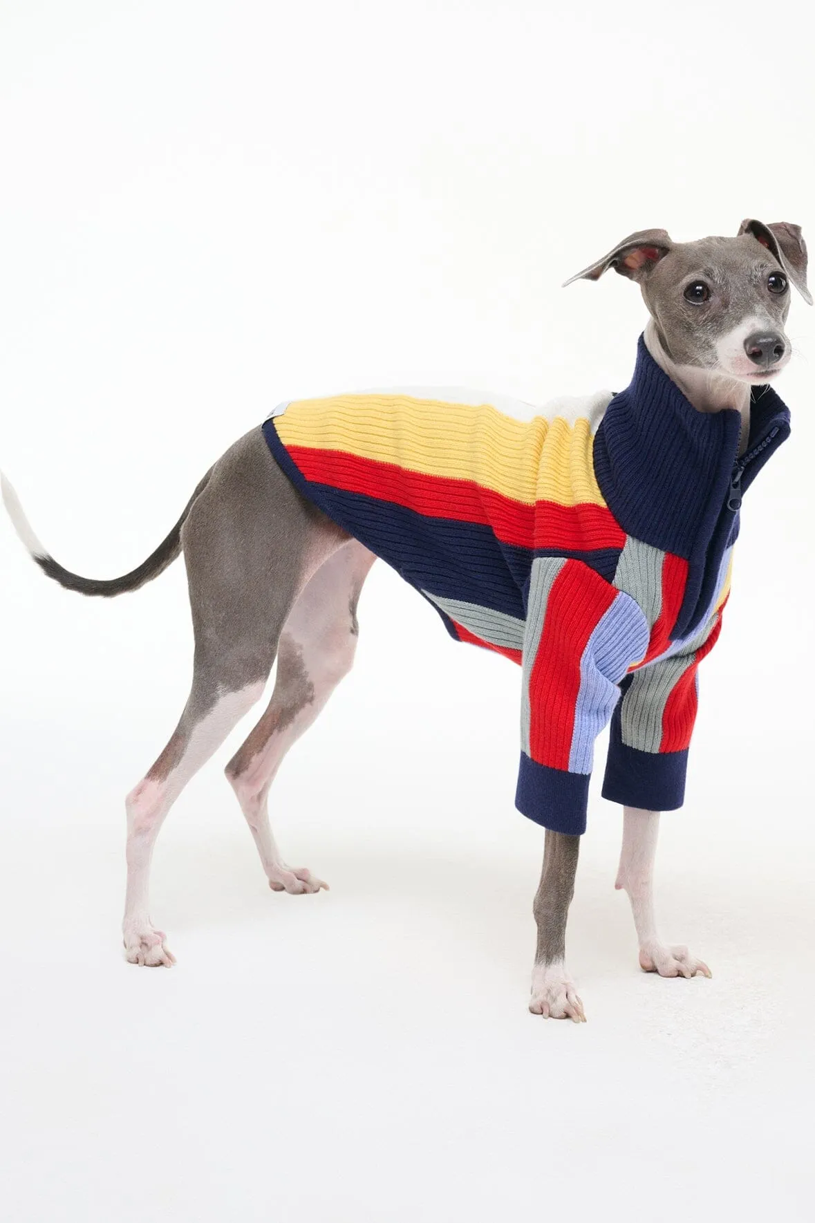PET HAMPTON SWEATER | MARKET STRIPE