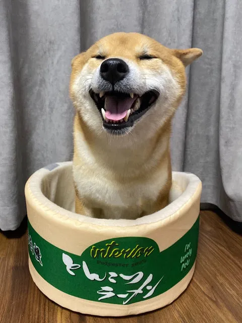 Ramen Bowl Pet Bed - Cozy Noodle Cup