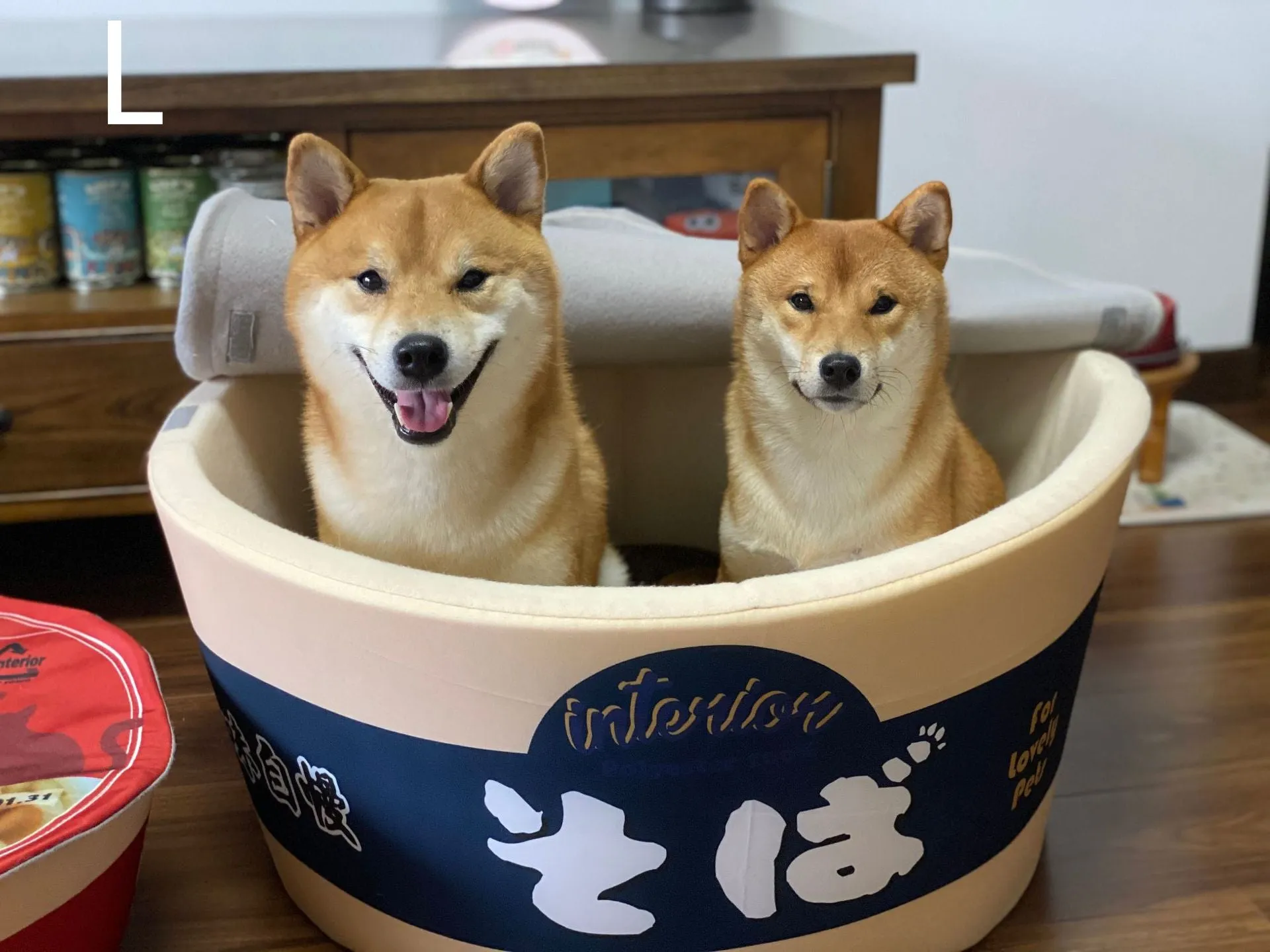 Ramen Bowl Pet Bed - Cozy Noodle Cup