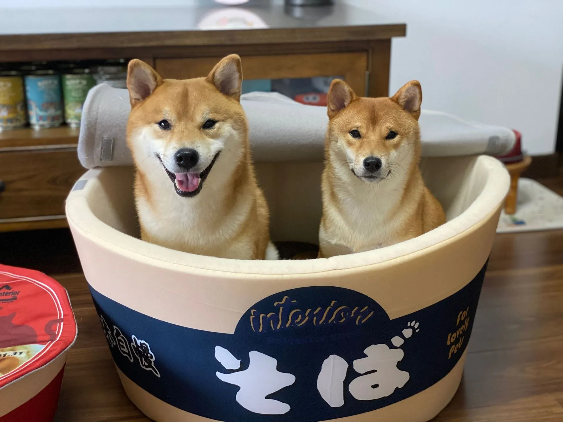 Ramen Bowl Pet Bed - Cozy Noodle Cup