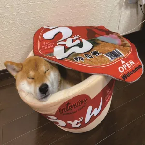 Ramen Bowl Pet Bed - Cozy Noodle Cup