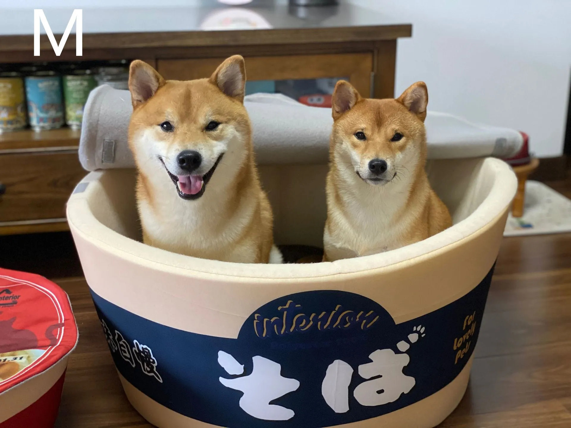Ramen Bowl Pet Bed - Cozy Noodle Cup