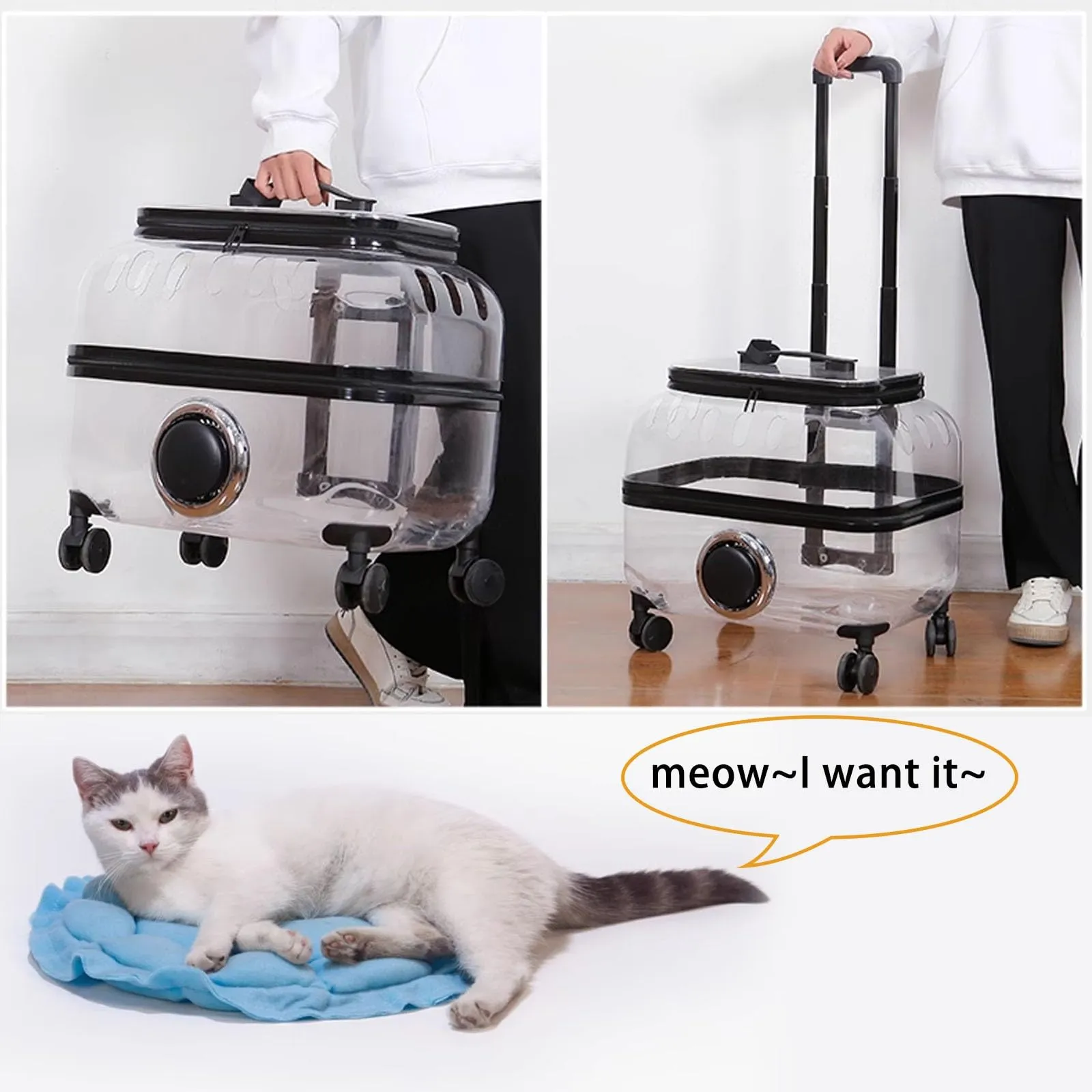 Transparent Pet Travel Trolley