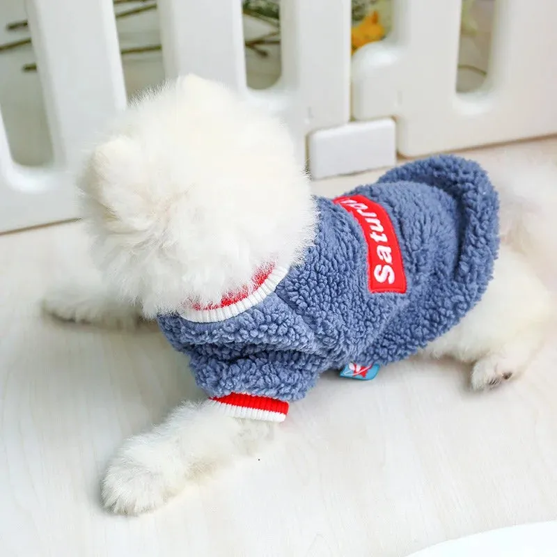 Warm and Stylish Pet Clothes for Cats and Small to Medium Dogs - Cozy Autumn/Winter Pullover with Blue Letter Embroidery