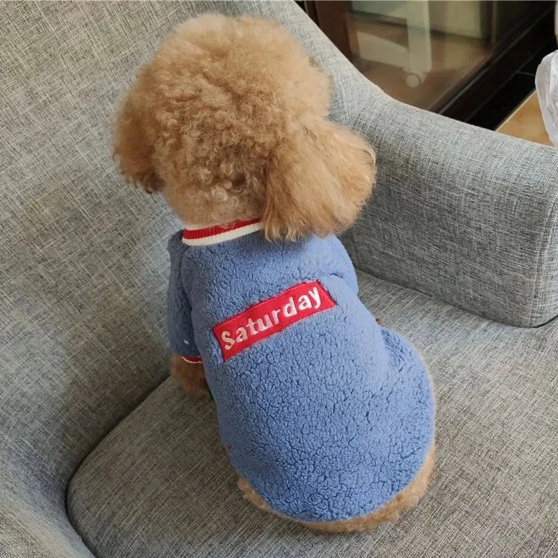 Warm and Stylish Pet Clothes for Cats and Small to Medium Dogs - Cozy Autumn/Winter Pullover with Blue Letter Embroidery
