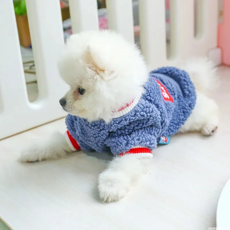 Warm and Stylish Pet Clothes for Cats and Small to Medium Dogs - Cozy Autumn/Winter Pullover with Blue Letter Embroidery