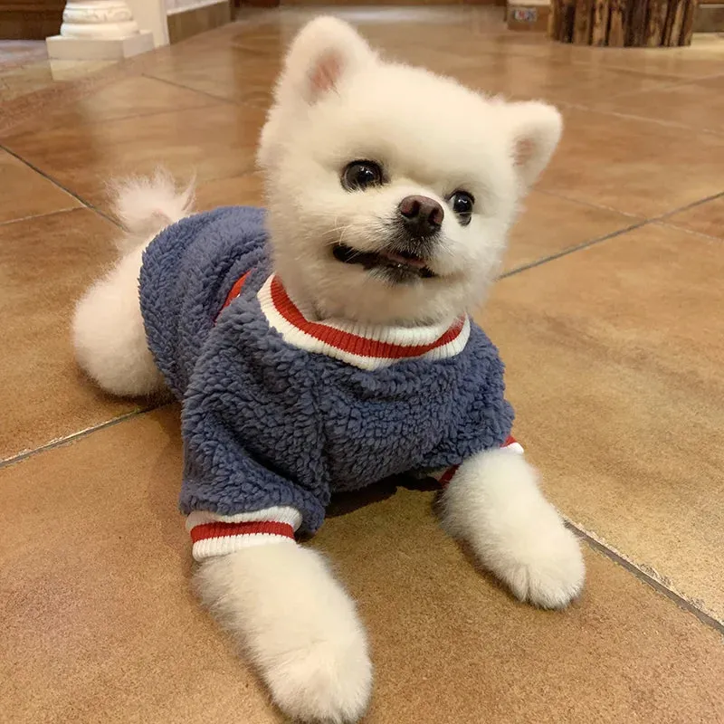 Warm and Stylish Pet Clothes for Cats and Small to Medium Dogs - Cozy Autumn/Winter Pullover with Blue Letter Embroidery