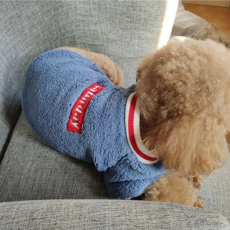 Warm and Stylish Pet Clothes for Cats and Small to Medium Dogs - Cozy Autumn/Winter Pullover with Blue Letter Embroidery