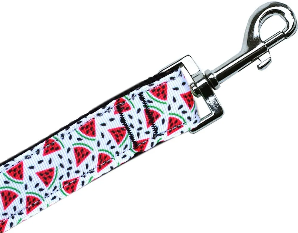Watermelon Nylon Pet Leash 5-8in By 4ft